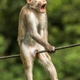 Imagen para el artículo titulado Estas son las fotos de animales más divertidas de 2021, según los Comedy Wildlife Photography Awards
